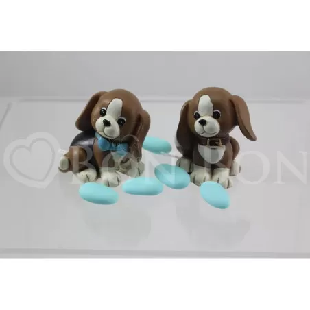 Cane Billy Medio 1 - 1