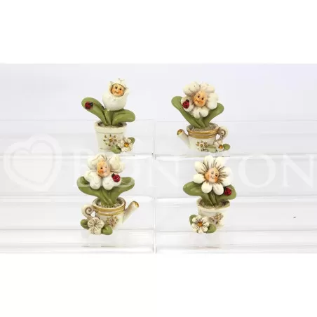 Piantine Sorriso 4 ass Bomboniera Offerta Outlet AFC - 1