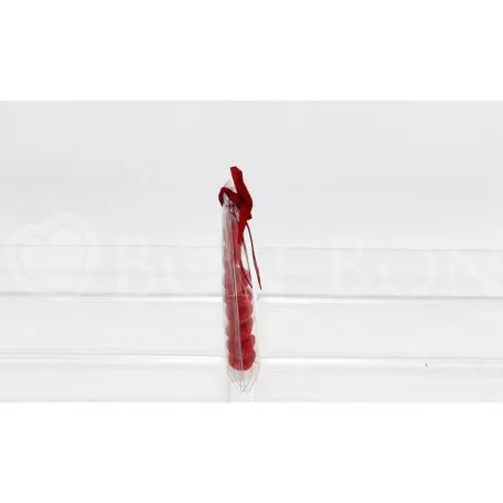 Scatolina Laurea Bustina con Foro Linea Pvc Tocco Laurea Liete Creazioni - 3