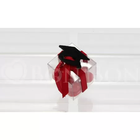 Scatolina Laurea Cubetto 4x4x4 Linea Pvc Tocco Laurea Liete Creazioni - 4