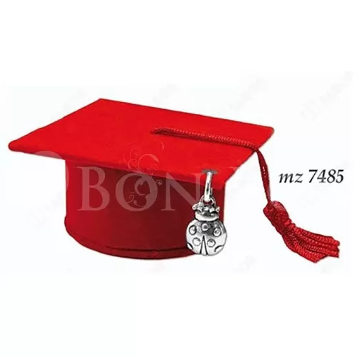 Tocco Rosso con Applicazione Coccinella Tabor - 1