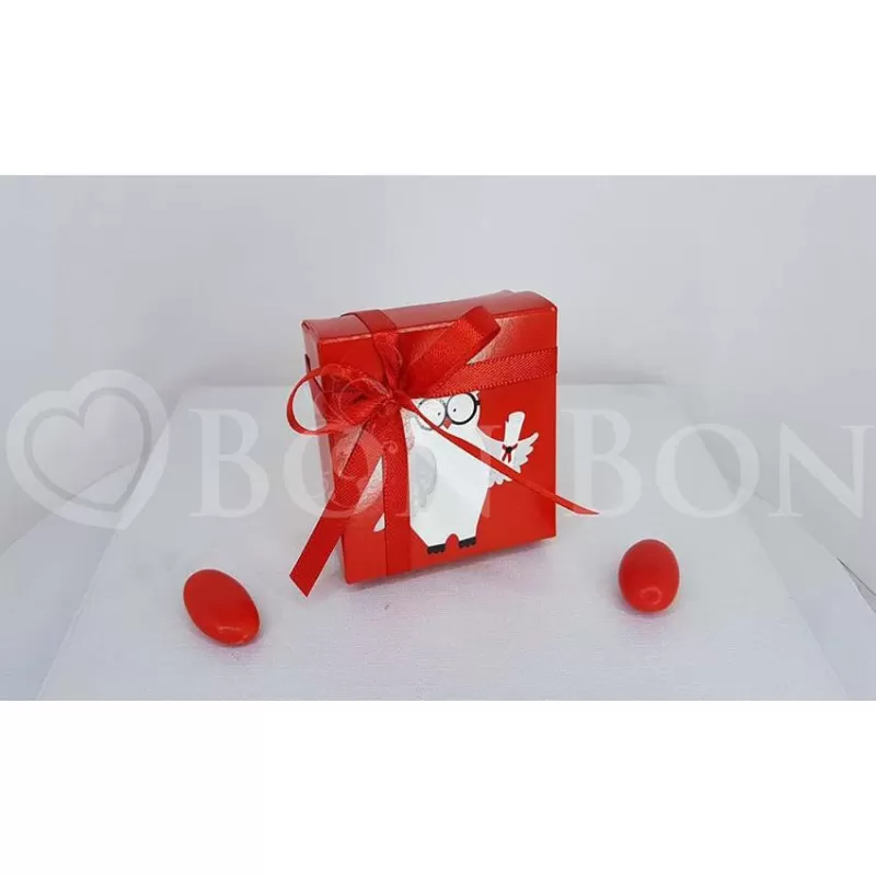 Scatolina Laurea Portaconfetti con Gufetto Scotton - 1