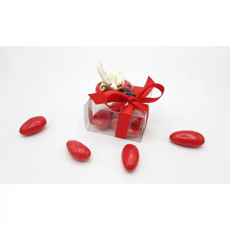 Scatolina laurea astuccio 5x5x3 pvc con appoggino coccinella - 1