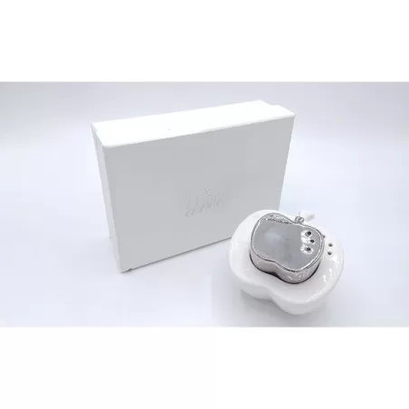 Bomboniera offerta sale e pepe mela bianco e argento Royal Gifts - 1