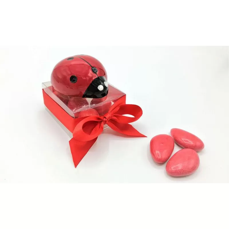 Bomboniera laurea magnete coccinella su scatolina - 1