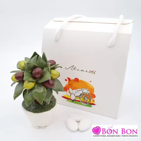 Bomboniera matrimonio siciliana alberello ulivi con vasetto bianco Nicar - 1