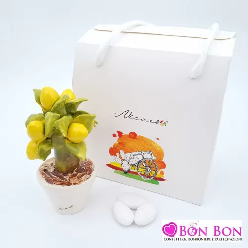 Bomboniera matrimonio siciliana alberello limoni con vasetto bianco Nicar - 1