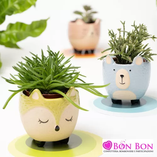 Bomboniere vasetti porta piantina animaletti AD - 5