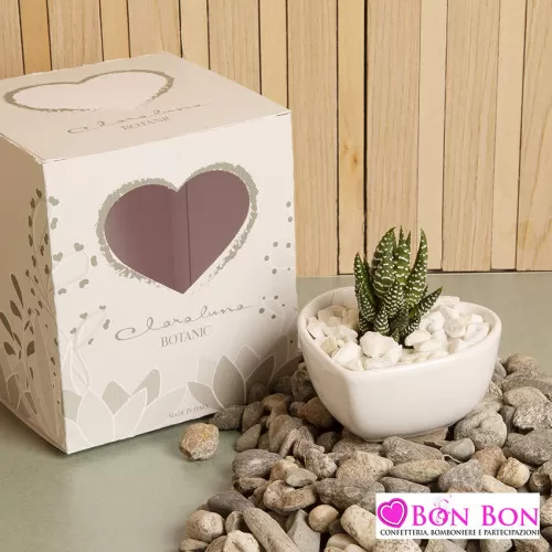 Bomboniera matrimonio piantina grassa vera con ciotola bianca Claraluna - 1