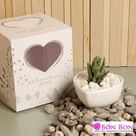 Bomboniera matrimonio piantina grassa vera con ciotola bianca Claraluna - 1