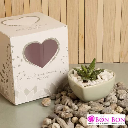 Bomboniera matrimonio piantina grassa vera con ciotola verde Claraluna - 1