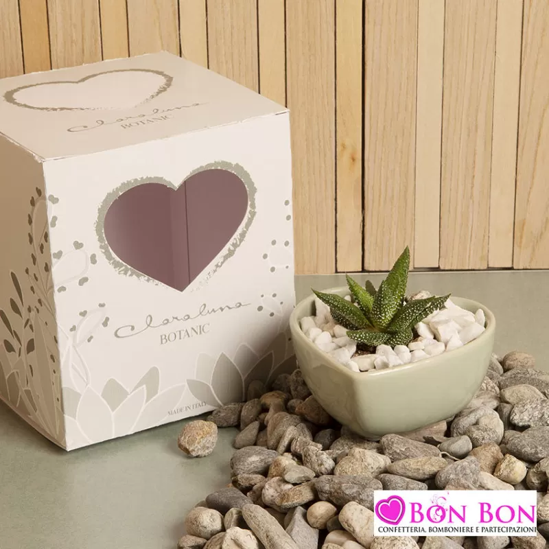 Bomboniera matrimonio piantina grassa vera con ciotola verde Claraluna - 1