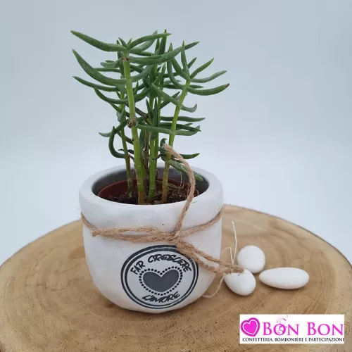 Bomboniera matrimonio vasetto porta pianta ETM - 1