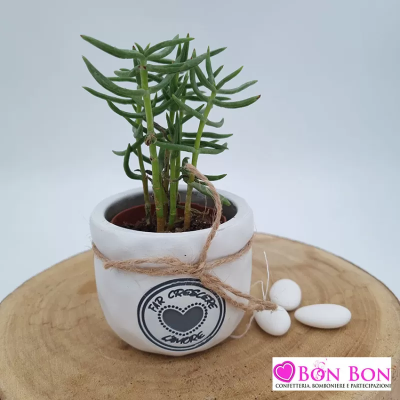 Bomboniera matrimonio vasetto porta pianta ETM - 1