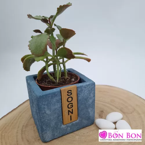 Bomboniera matrimonio vasetto porta piante linea ecrit ETM - 1