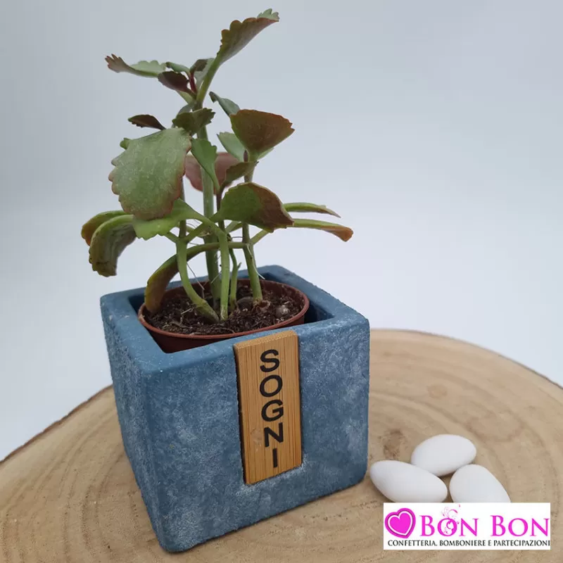 Bomboniera matrimonio vasetto porta piante linea ecrit ETM - 1