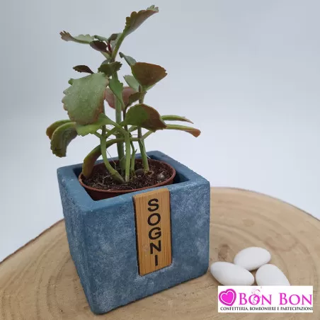 Bomboniera matrimonio vasetto porta piante linea ecrit ETM - 1