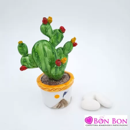 Bomboniera matrimonio siciliana piantina di cactus Melograno - 1