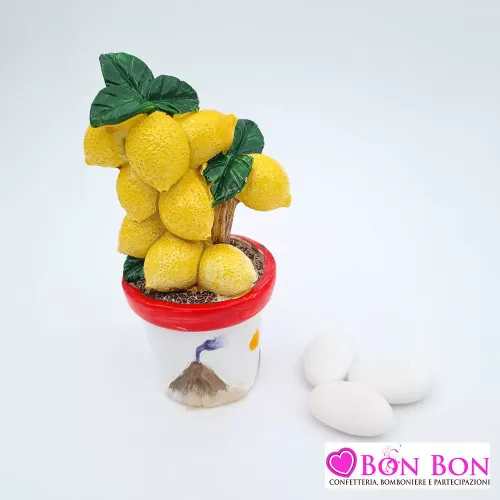 Bomboniera matrimonio siciliana piantina di limoni Melograno - 1