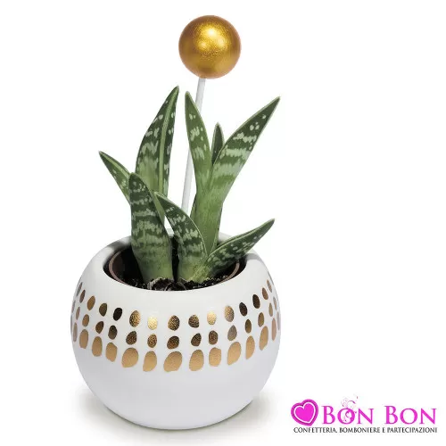 Bomboniera matrimonio solidale vaso portapianta sfera bianca e oro Quadrifoglio - 1