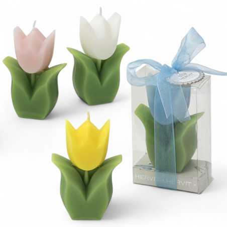 Bomboniere Matrimonio Hervit 2025 Candela Tulipano in 4 Colori assortiti con Scatola in pvc Inclusa Hervit - 5