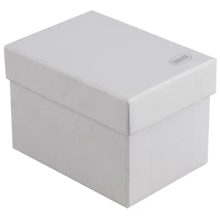 Bomboniera con sfera globo terrestre incisa con scatola inclusa Bagutta - 2