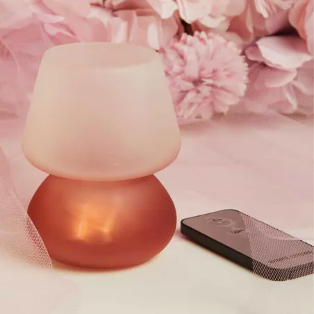 Bomboniera Matrimonio Claraluna 2026 Lampada Led Rosa con Telecomando Claraluna - 1