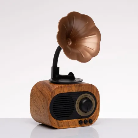 Radio grammofono bluetooth Cuorematto 2026