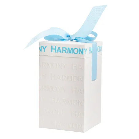 Bomboniera Nascita e Battesimo Carillon Celeste Orsetto con Corona Oro in Porcellana