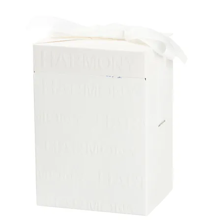 Bomboniera Matrimonio Oliera Trullo in Porcellana Bianca 330 ml – Con Sacchetto, Scatola