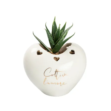 Bomboniera Matrimonio Porta Piantina Cuore in Porcellana 2 Modelli Assortiti, con Piantina e Scatola PVC