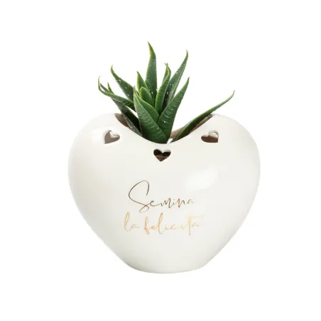 Bomboniera Matrimonio Porta Piantina Cuore in Porcellana 2 Modelli Assortiti, con Piantina e Scatola PVC