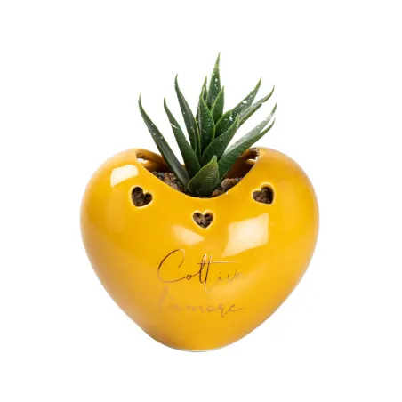 Bomboniera Matrimonio Porta Piantina Cuore in Porcellana con Frase – 4 Colori Assortiti, Piantina Grassa , Scatola PVC