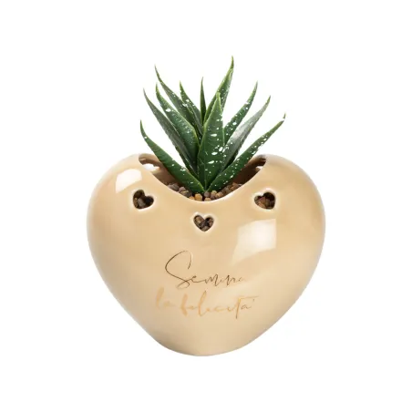 Bomboniera Matrimonio Porta Piantina Cuore in Porcellana con Frase – 4 Colori Assortiti, Piantina Grassa , Scatola PVC