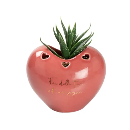 Bomboniera Matrimonio Porta Piantina Cuore in Porcellana con Frase – 4 Colori Assortiti, Piantina Grassa , Scatola PVC